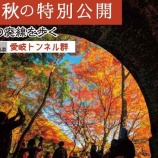 『『愛岐トンネル群 秋の特別公開』は11/29(土)～12/7(日)の9日間で開催』の画像