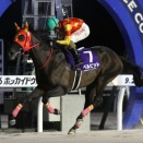 【9/23メインレースレポート】⑦ベルピット（牡6＝角川秀樹厩舎）が重賞19勝目！ 第59回瑞穂賞〔H2〕