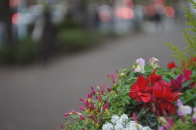 ZUIHO HONOR オーナー 50mm F1.9 ライカLマウントレンズ ZUIHO HONOR オーナー 50mm F1.9 ライカLマウントレンズ ZUIHO