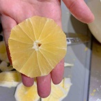 るぅのパラダイスガーデンと楽しい暮らし