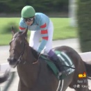 【競馬】ヤマニンウルスが引退　レックススタッドで種牡馬入り