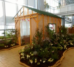 アザレアとクリスマスローズの2種の展示フェア