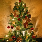 (公式) 北の森からの贈りもの