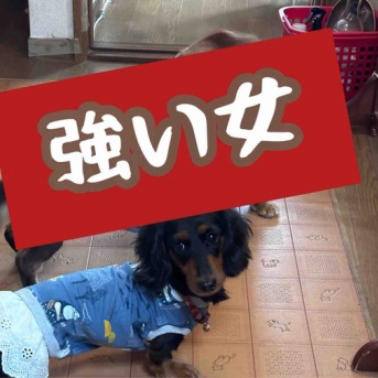 我が家のひよこ🐣組。