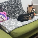 日々のくらし手帖