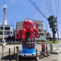 日間賀島のソフトクリーム食べ歩き　島しらすとひまかプリン
