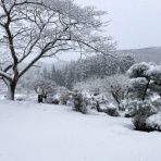 昨日、「きつねくぼ」で。