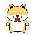 いのちの授業　鈴木中人