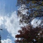 カリフォルニアの風