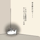 いっぱい歩いた日