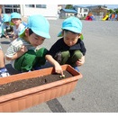 栽培活動🌱