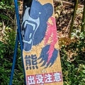 旅の空は眩しい真夏日
