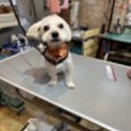 お客様のご紹介