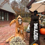 森の日曜日の看板犬もものblog