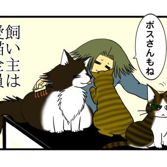 【猫との暮らし】飼い主は 愛猫全員 世界一
