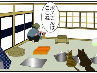 【猫との暮らし】１番いい席は、みんな座りたいよね