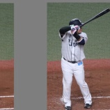 『中村剛也と山川穂高の見分け方』の画像