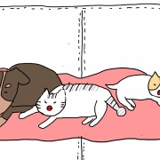 早く寝たいジンの頭脳作戦