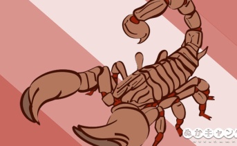 今週のアパラチア：12月17日～12月23日