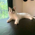 水耕栽培に悪さをする現行犯、逮捕ー！