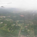 ばいおの採集日記