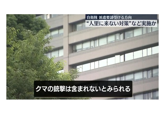 国「クマ対策に自衛隊を派遣してやってもいいが、銃は使わせないよ」