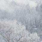 ���ߤ��ؤ������١٤β���