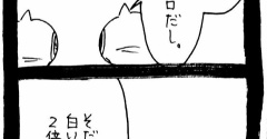 赤ちゃん自認ねこ13