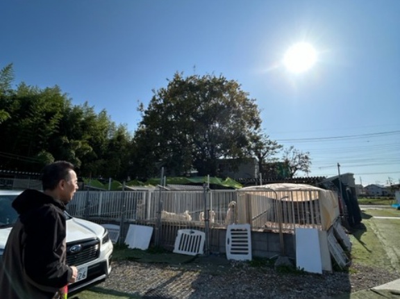 今日もアリマンさん、ありがとうございます🙇‍♀️