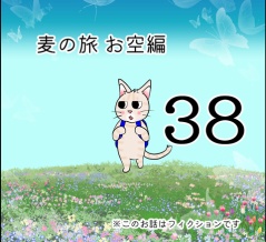 麦の旅お空編38