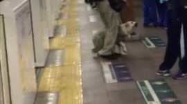【動画】駅のホームで盲導犬を足蹴りした飼い主特定、犬は保護…関連団体「厳重に対処する」