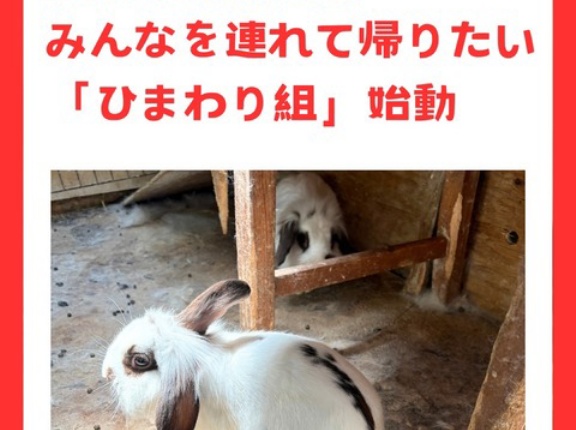 真夏の緊急保護 みんなを連れて帰りたい「ひまわり組」始動