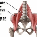 【施術もするキャリア30年のトレーナー直伝】股関節の付け根が痛い人へ。お腹の奥にある“歩くためのエンジン”を目覚めさせよう！
