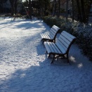 無視できない規範