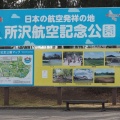 航空公園で蝋梅を見る