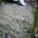 『脈状構造 vein structure』の画像