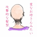 頭に髪の毛がないお話