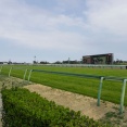 今年の3歳牡馬が歴代最強の勝率らしい