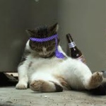 昨日夜道端でゲロ吐いてうずくまってる女が居たので声かけた結果ｗｗｗ