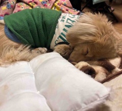 みんな静かに見守ってます。