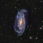 ninzyaの星見