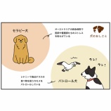 『最近ハマってる番組』の画像