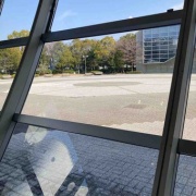 �������Ͽ޽�۵٤ߡ��뤴�ӡ�ʿ��η���ɤ����Ф�