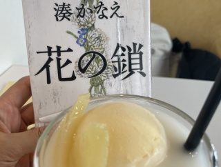 湊かなえ「花の鎖」を読みました
