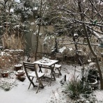 ホアマイだより