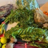 ハワイのカラフルな朝採れ野菜山盛り♪【CSAバッグ】