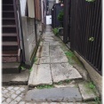 言葉が浮かばないことが増えている。