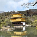 京都に行ってきました