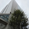 【小島町の工事】たづくりに大きな動き！私のお気に入りスポット12階の"展望ロビー"が再来年まで使えないかもしれないです