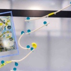 いかっぱの知育と称してボードゲーム沼